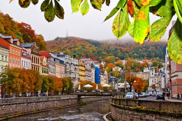 Visita guiada de Karlovy Vary saindo de Praga